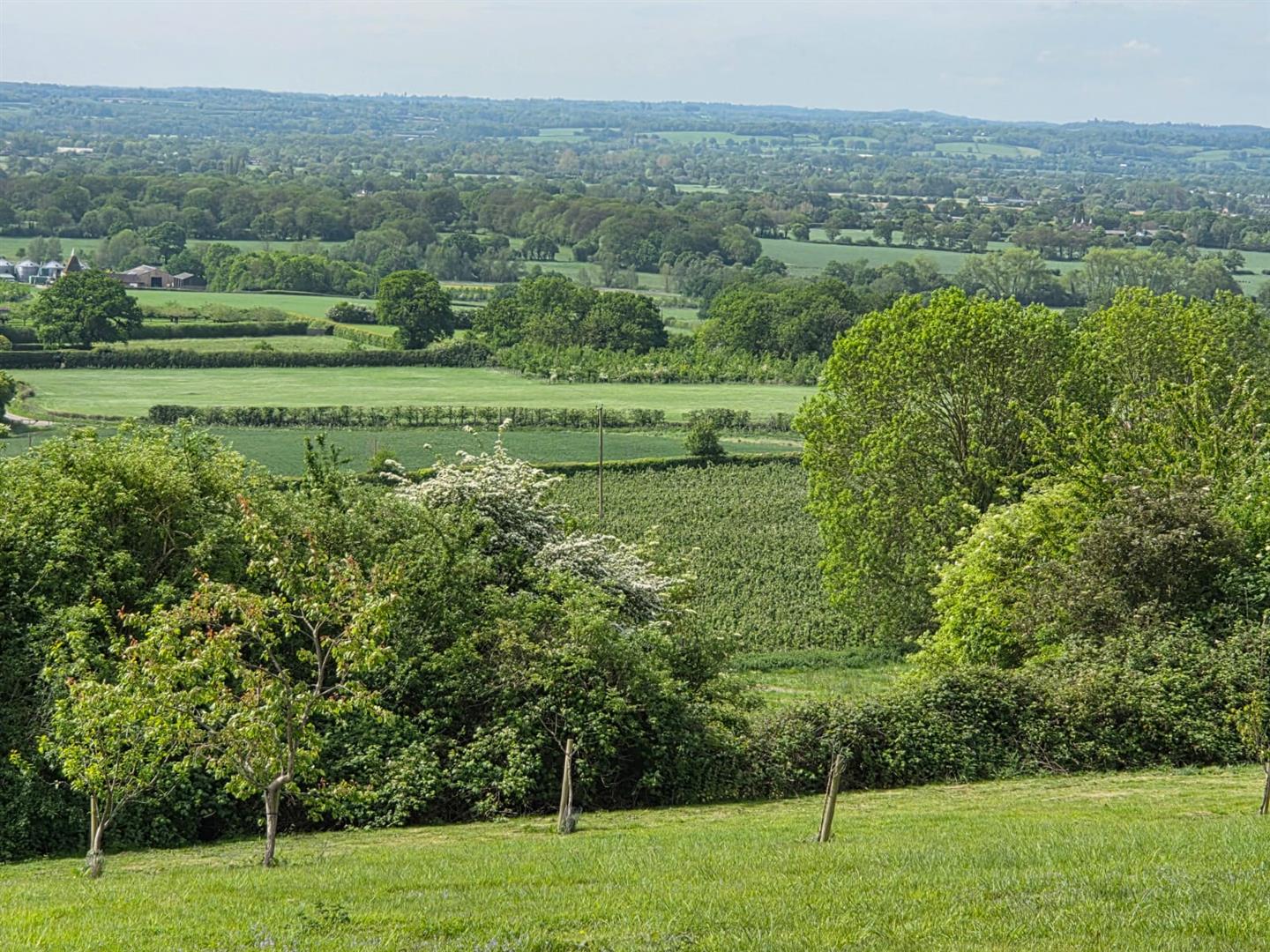 Property in Vanity Lane, Linton, Maidstone by Weald Property