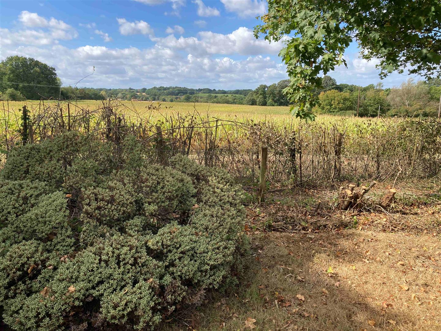 Property in Halden Lane, Rolvenden by Weald Property